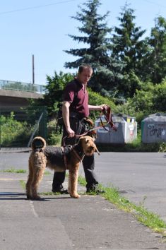 Jugend-Klubsieger 2014