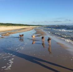 Jugend-Klubsieger 2014