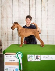 Crufts Prize Winner Twenty of Tara