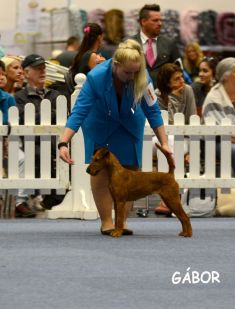 Jugend-Klubsieger 2014